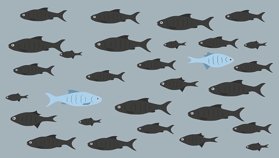One unique fish swims opposite from identical blacks. Concept of courage, confidence, success, crowd and creativity. EPS 10.
