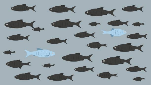 One unique fish swims opposite from identical blacks. Concept of courage, confidence, success, crowd and creativity. One unique fish swims opposite from identical blacks. Concept of courage, confidence, success, crowd and creativity. EPS 10. upstream stock illustrations