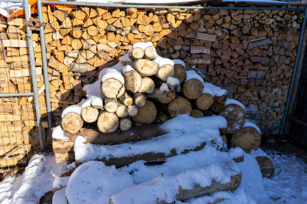 istock stack of firewood with snow in the winter time 1959602133