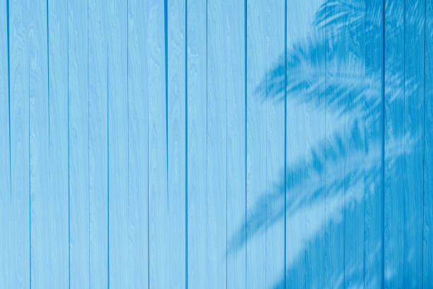 istock Palm Tree Shadow on Textured Blue Wooden Background 1959606141