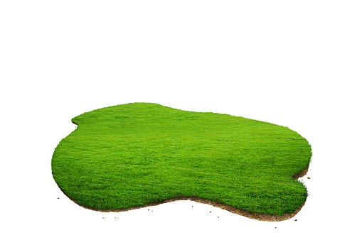 3D illustration of forest landscape. slice of land with green grass surface.