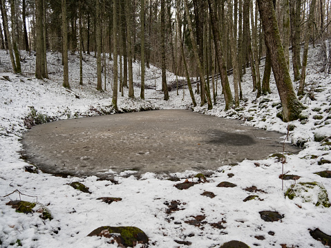 A glimpse of nature's winter artistrya frozen water puddle quietly transforms amidst the snowy embrace of Pokainu Mezs, Dobele, Latvija