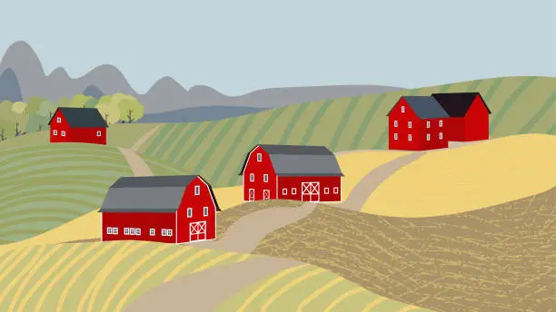 Vector illustration of A view of the sown fields. A farm in the middle of a field