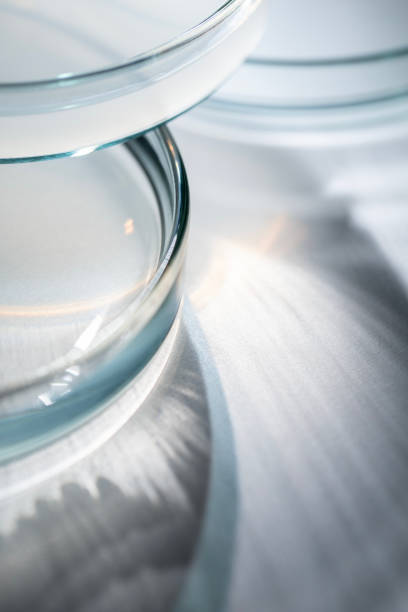 Scientific research. Laboratory Petri dishes.