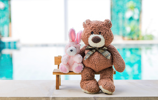 Little pink rabbit and brown teddy bear sitting on wooden bench over blurred swimming pool background, outdoor day light, love and romance, best friend