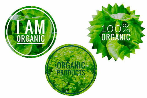 Organic product design idea, organic vegetable banner