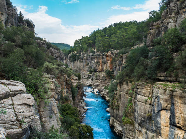 Top view of the gorge in the mountain. A stormy mountain turquoise river flows below. Green trees grow on top of the rocks. Beautiful mountain landscape without people. National park in Turkey