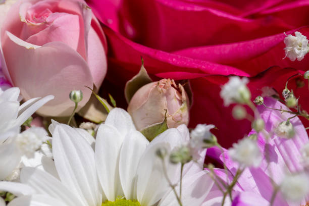 a beautiful bouquet combined with different flowers, a festive bouquet of flowers with different types of flowers