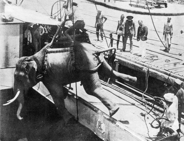 People and landmarks of India in 1895: Shipping an elephant, Rangoon