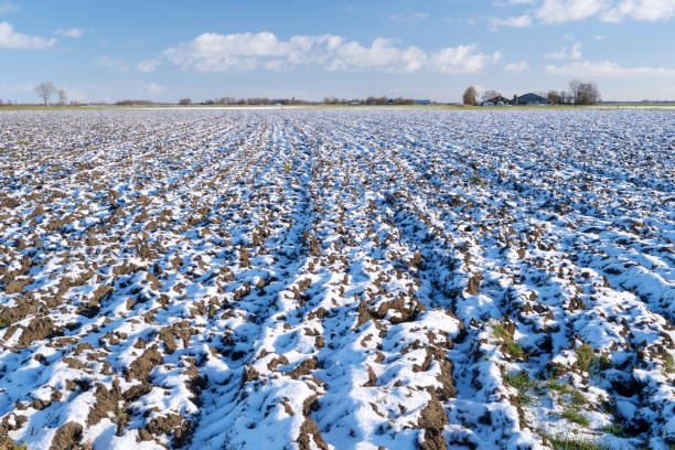 a plowed agricultural field covered with snow - winter farm vibrant color shadow imagens e fotografias de stock