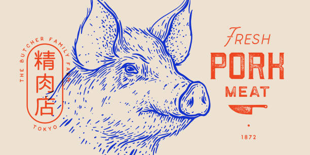 돼지고기, 돼지머리, 고기 라벨 - pig piglet butcher ranch stock illustrations