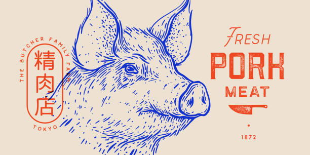 ilustrações de stock, clip art, desenhos animados e ícones de pork, pig head, meat label - porco