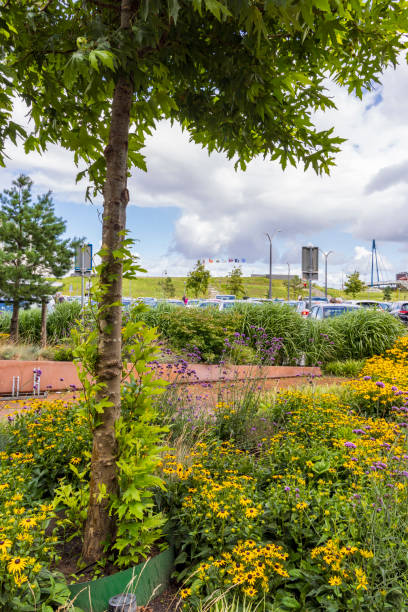 istock Greening Delfzijl The Netherlands 1959767774