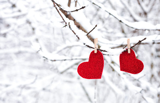 Two hearts hanging on snowy branch. Love message for Valentine's day. Close-up. Copy space.