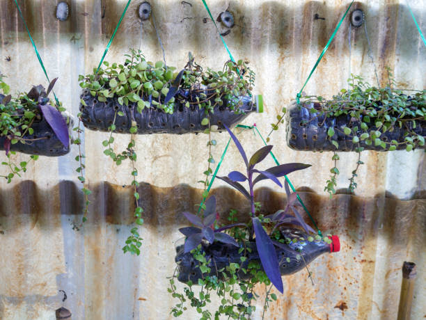 istock Creative ideas for making plant holders from recycled plastic bottles. These can be used to decorate your garden or home while reducing packaging waste. 1959817863