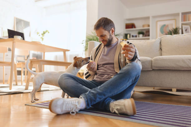 istock Man giving his dog an apple 1959818956