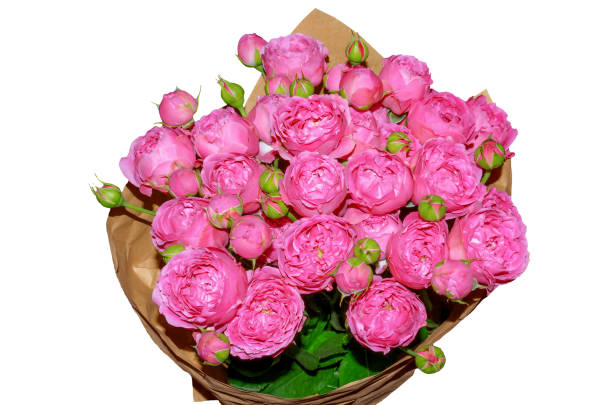 istock Bouquet of pink roses on a white background 1959820513