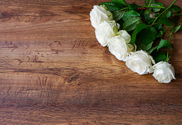 istock White roses on wooden background 1959820516