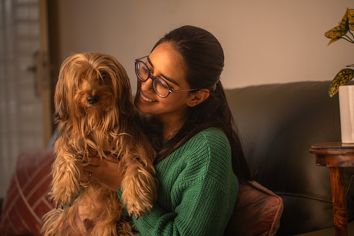 Happy loving young woman embracing furry Yorkshire Terrier while relaxing on sofa in living room at home