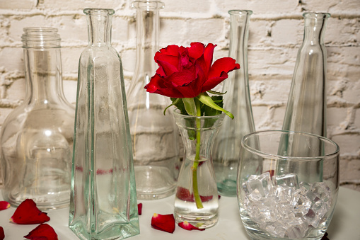 Single red rose with green leaf in glass vase.  Surrounded by decorative glass vases of various designs and a glass with ice cubes. Scattered red rose petals on a white background. White brickwall background