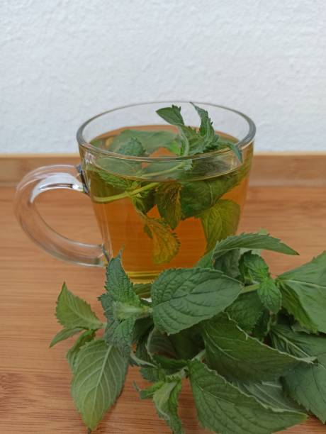 istock Mint tea in a transparent mug, mint leaves with a cup of tea 1959851329