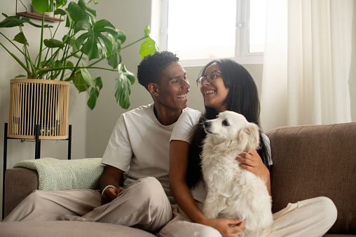 Happy couple, living room couch and dog in home, laugh and embrace with love, young or pet care. Boyfriend, girlfriend and smile for commitment, bonding together and intimate romantic relationship