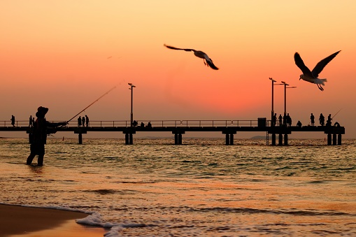 Fisherman casting in foreground and fishing jetty in background at sunset.  Two gulls are also flying past.