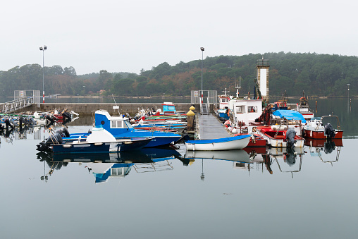 Carril, Spain, January 11, 2015: A large number of fishing boats anchored in the harbor of this village.