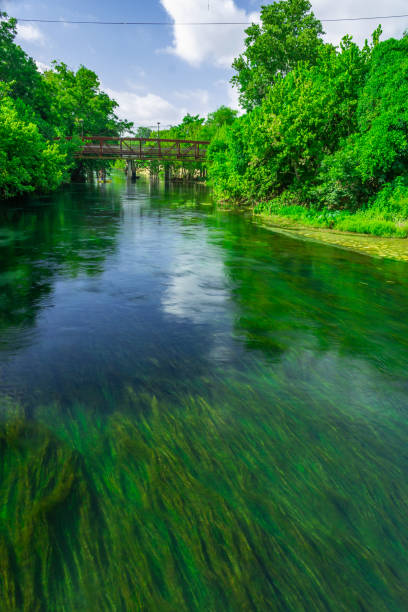 istock Texas Hill Country 1959888448