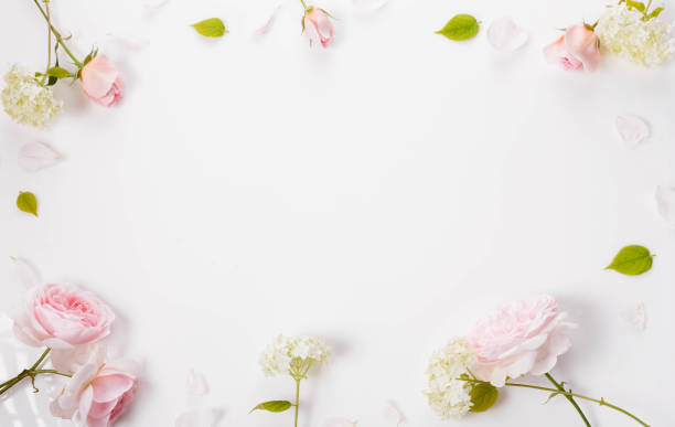 istock Festive flower composition on white background. Overhead view, flat lay, frame 1959891681