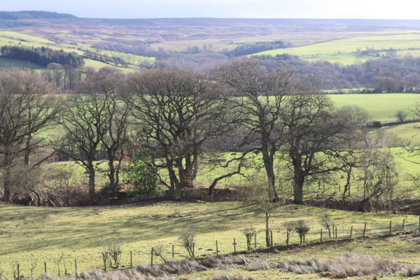 istock View across countryside in winter sunshine 1959910713