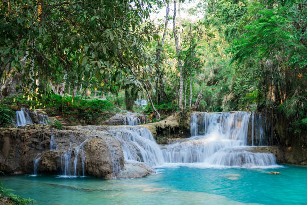 istock Refreshing  Kuang Si waterfall in the jungles 1959915651