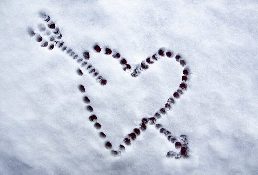 Love. Heart on white snow.