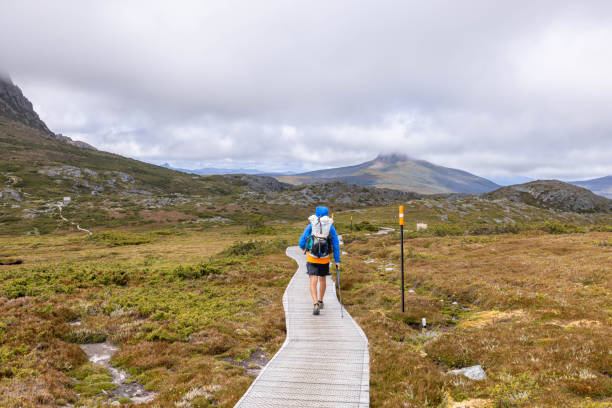 istock Trekking Tasmania: One Man's Journey Through Wilderness Wonders 1959944911