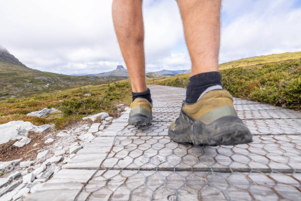 Captured from a low angle, this image showcases a man's footsteps on a raised wooden footpath in Tasmania. The elevated walkway stretches into the distance, symbolizing a long-distance journey through the rugged terrain. The shot focuses on the practical aspect of the trek, emphasizing the path and the physicality of the trekker's progress in the wild surroundings of Tasmania.