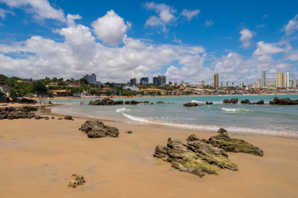 istock Rocks at Ponta Negra Beach 1959957428