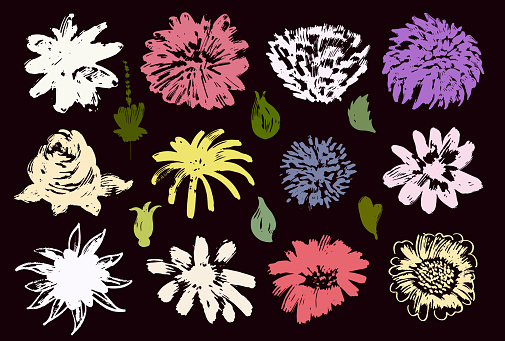 Spring flowers hand drawn vector set. Anemones, peonies, chrysanthemums. Colored brush flower silhouettes. Hand drawn ink drawing wild plants, herbs or flowers, monochrome botanical illustration.