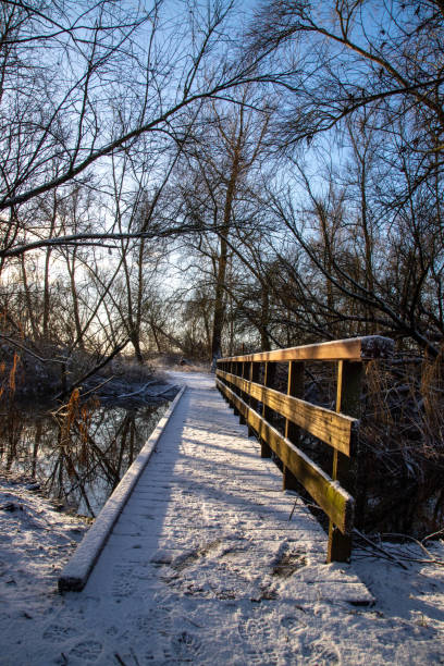 istock A wooden bridge with snow in the park 1959972941