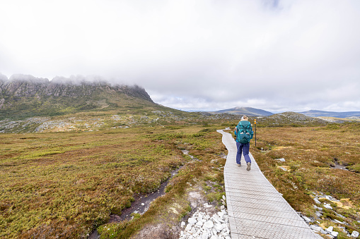 Venturing into the heart of Tasmania's untamed beauty, a young woman embarks on an immersive journey along a long-distance trail. Her solitary footsteps echo through the pristine wilderness, as towering trees and rugged landscapes become witnesses to her odyssey. With a determined spirit, she navigates the meandering path, embracing the solitude and serenity that only the vast Tasmanian wilderness can provide. The air is crisp, the scenery awe-inspiring, as each step becomes a testament to her resilience and the profound connection between the intrepid traveler and the untouched wonders of nature.