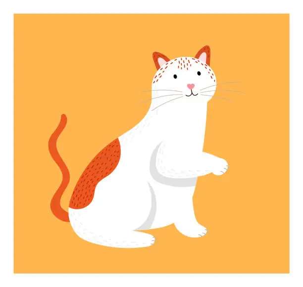 Vector illustration of White and orange spotted cat standing up on hind legs with curious expression, orange background. Playful feline performing trick or begging for treats, cute animal character