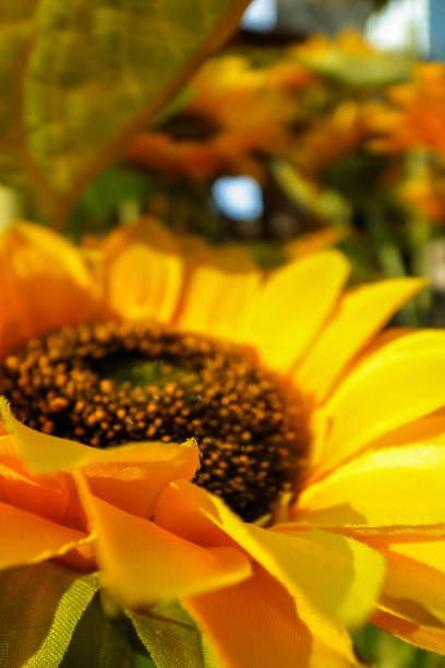 Close-up of artificial sunflower in the outdoors with sunlight. Artificial sunflower for decoration.