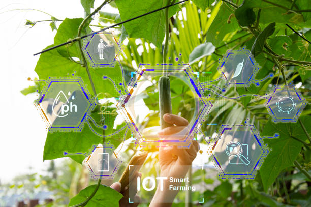 istock The concept of using AI and smart farming. 1960065643
