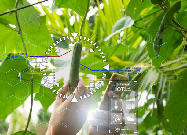 istock The concept of using AI and smart farming 1960065818