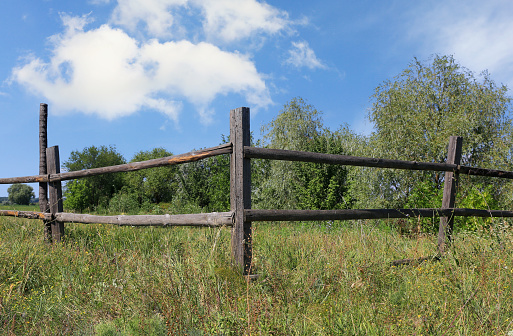 Close-up of a gate tied with a frayed orange rope to the fence on the edge of a Dutch meadow.