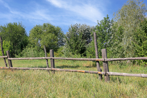 Landscape with old wooden fence on green summer meadow