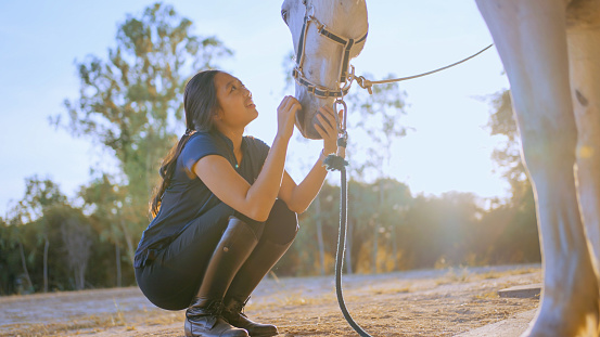 Lovely young Asian woman stroking and petting horse.