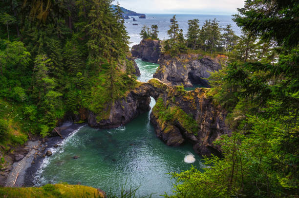 Samuel H. Boardman State Scenic Corridor in Oregon, USA.