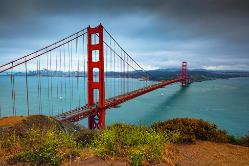 Golden Gate Bridge on a cloudy day with San Francisco city skyline in the background and flowers in the foreground.