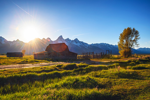 Summer sunset over Historic John Moulton Barn at Mormon Row in Grand Teton National Park on a sunny summer day, with mountains in the background.