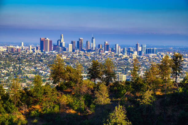 istock Los Angeles skyline photographed from Griffith Park 1960107656
